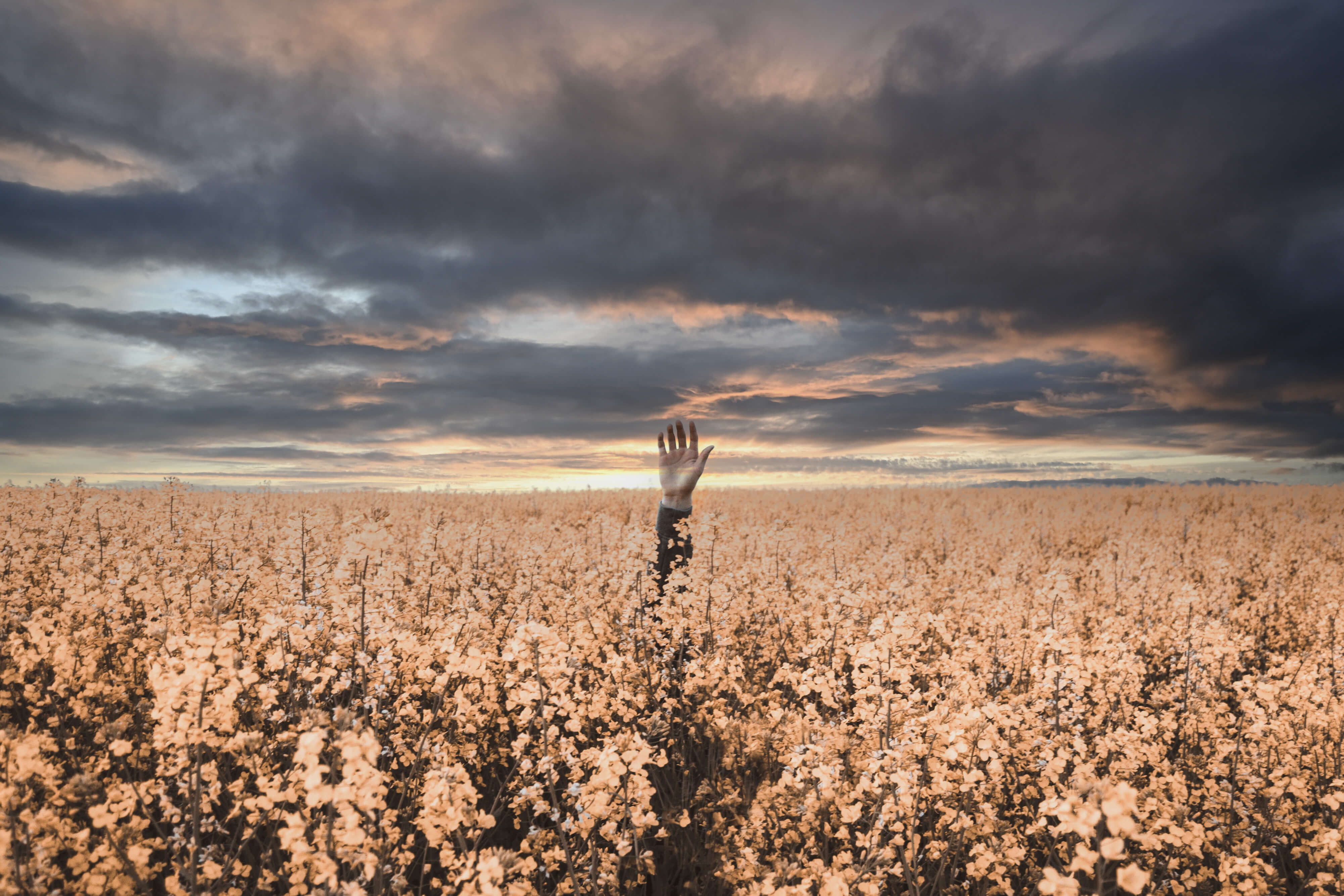 This page does not exist