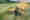 VI_Andex1505_001