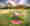 vicon-732T-7100-DJI-0113-firstline-g89cq96ass