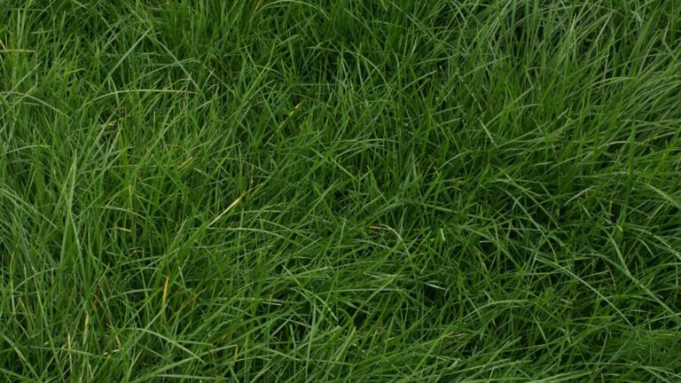 B9718984604Z.1_20190321173636_000+GD4D7PGUB.1-0