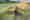 VI_Andex1505_001-750